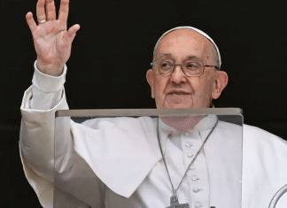 Papa Francisco ora pelas vítimas do acidente aéreo em Vinhedo