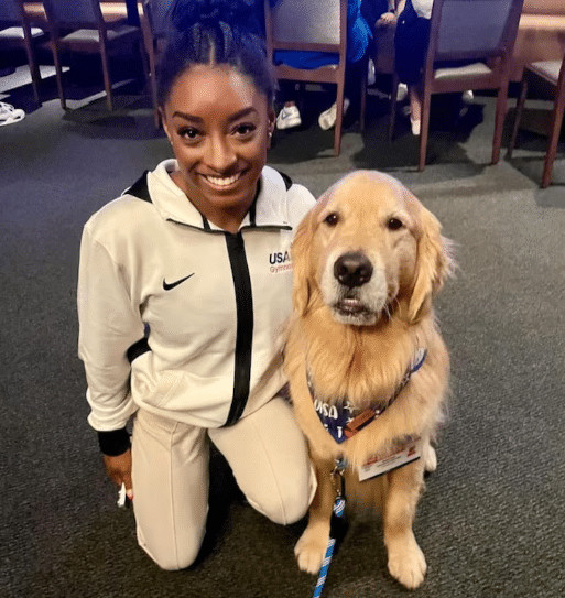 contioutra.com - Beacon: O c&atilde;o terap&ecirc;utico que ajuda Simone Biles e outras atletas dos EUA