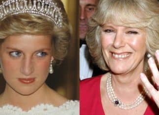 O apelido nada simpático com o qual Diana se referia a Camila Parker Bowles