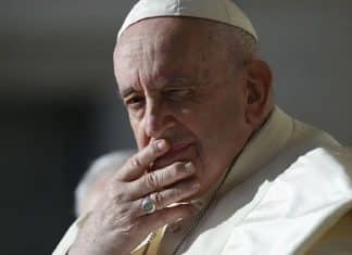 Papa Francisco causa polêmica ao criticar ‘pais de pet’ que não querem ter filhos