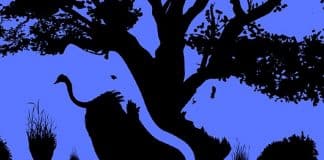 O animal que você vê primeiro nesta imagem revela algo importante sobre sua personalidade