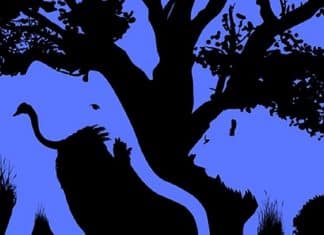 O animal que você vê primeiro nesta imagem revela algo importante sobre sua personalidade