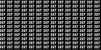 Somente 3% das pessoas é capaz de encontrar o número 257 na imagem em 10 segundos