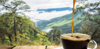 Chefe explica “teste da xícara de café”, método decisivo usado em entrevistas de emprego