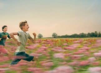 15 filmes belíssimos na Netflix que vão mexer com seu coração e ficar gravados na sua memória