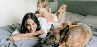 Por que os cães não podem dormir na cama?