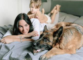 Por que os cães não podem dormir na cama?