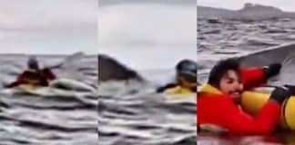 VÍDEO: Baleia jubarte abocanha jovem que andava de caiaque e depois o cospe