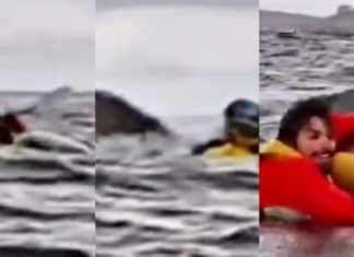 VÍDEO: Baleia jubarte abocanha jovem que andava de caiaque e depois o cospe