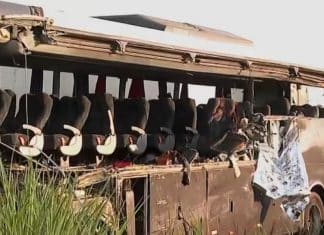 Motorista de caminhão que causou acidente fatal com ônibus de estudantes foge para canavial e é preso