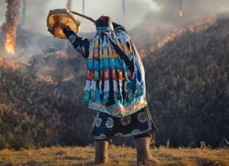 Recorde na Netflix: Filme com DiCaprio foi assistido por 152,29 milhões de horas em apenas uma semana