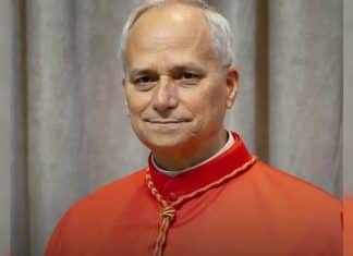 Papa Leão XIV fez profecia antes de entrar no conclave, revela irmão