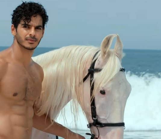 A nova série romântica com 8 episódios na Netflix que vai te envolver e te fazer suspirar