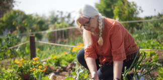 Conheça a planta que é a Santa Protetora das Mulheres