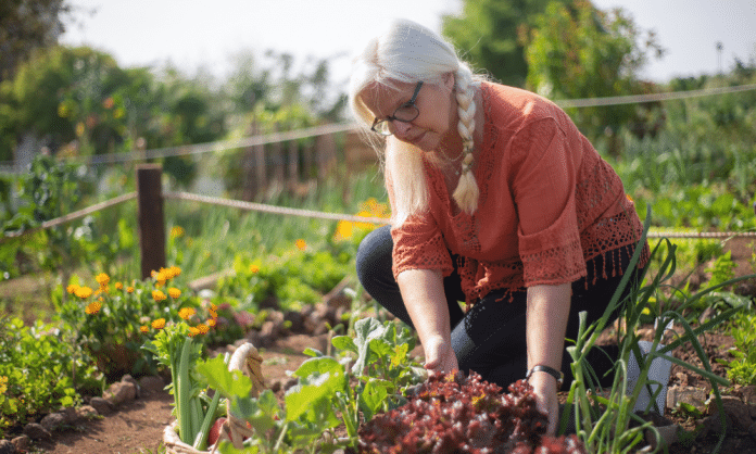 Conheça a planta que é a Santa Protetora das Mulheres (1) Conheça a planta que é a Santa Protetora das Mulheres