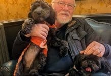 Aos 75 anos, aposentado faz bilhete inusitado pedindo para conhecer os cães dos vizinhos e tem a melhor resposta
