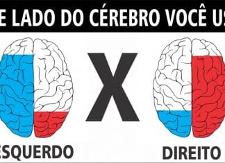 Você enxerga como pensa? Esse teste visual revela como seu cérebro realmente funciona