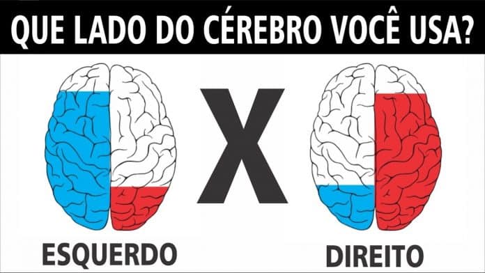 Você enxerga como pensa? Esse teste visual revela como seu cérebro realmente funciona