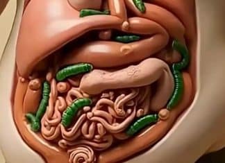 Comer este superalimento diariamente vai transformar seu corpo de formas surpreendentes (e custa menos que um saco de arroz)