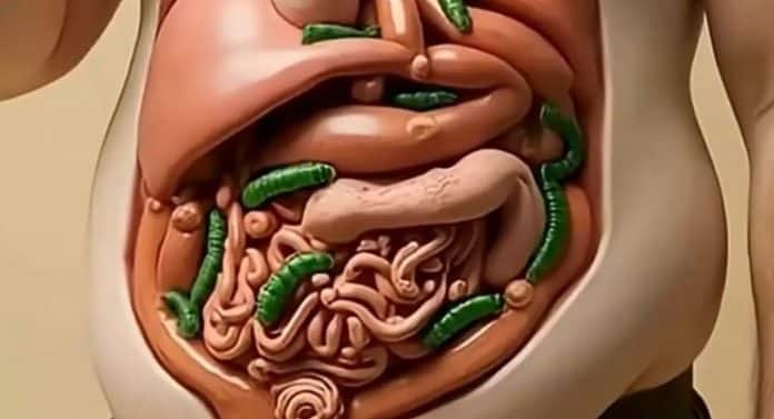 Comer este superalimento diariamente vai transformar seu corpo de formas surpreendentes (e custa menos que um saco de arroz)