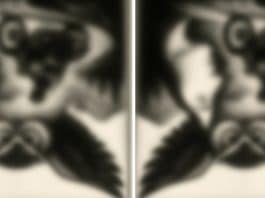 Apenas 6 em cada 100 pessoas que fazem esse teste visual acertam a sequência de figuras