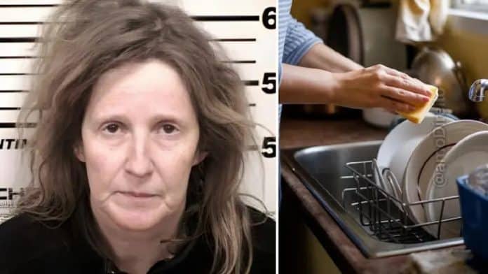 capa História inacreditável: Essa mulher foi presa acusada de invadir casas aleatórias para lavar a louça e organizar a casa