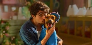 A história real por trás de “Caramelo”: o vira-lata Amendoim que conquistou a Netflix (e o Brasil!) A história real por trás de “Caramelo”: o vira-lata Amendoim que conquistou a Netflix (e o Brasil!)