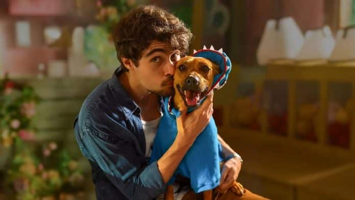 A história real por trás de “Caramelo”: o vira-lata Amendoim que conquistou a Netflix (e o Brasil!)