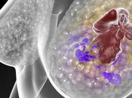 ‘Três aplicações e o tumor sumiu’: molécula de Stanford mostra resultados inéditos contra o câncer ‘Três aplicações e o tumor sumiu’: molécula de Stanford mostra resultados inéditos contra o câncer