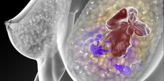 ‘Três aplicações e o tumor sumiu’: molécula de Stanford mostra resultados inéditos contra o câncer