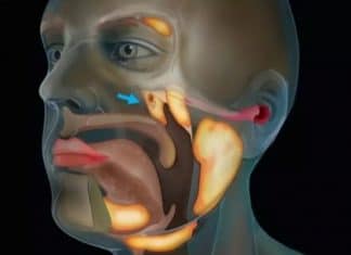 Ciência em alerta: estudo sobre câncer acaba revelando um órgão totalmente novo no corpo humano