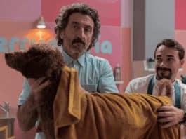 Nova série da Netflix escancara "indústria da doença" que está adoecendo nossos animais de estimação - e lucrando com isso todos os dias