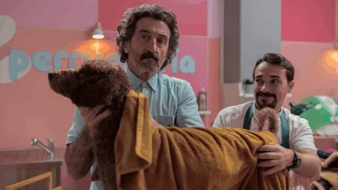 Nova série da Netflix escancara “indústria da doença” que está adoecendo nossos animais de estimação – e lucrando com isso todos os dias