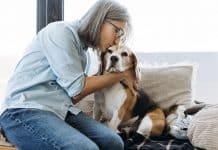 Cientistas criam pílula que pode fazer seu cachorro viver muitos anos a mais — e já está quase aprovado!