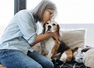 Cientistas criam pílula que pode fazer seu cachorro viver muitos anos a mais — e já está quase aprovado!