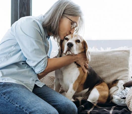 Cientistas criam pílula que pode fazer seu cachorro viver muitos anos a mais — e já está quase aprovado!
