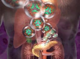 Fim do Diabetes? Homem recebe células editadas geneticamente e volta a produzir insulina sozinho pela 1ª vez Fim do Diabetes? Homem recebe células editadas geneticamente e volta a produzir insulina sozinho pela 1ª vez