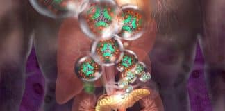 Fim do Diabetes? Homem recebe células editadas geneticamente e volta a produzir insulina sozinho pela 1ª vez Fim do Diabetes? Homem recebe células editadas geneticamente e volta a produzir insulina sozinho pela 1ª vez