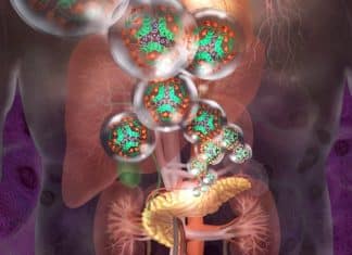 Fim do Diabetes? Homem recebe células editadas geneticamente e volta a produzir insulina sozinho pela 1ª vez