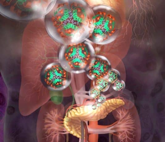 Fim do Diabetes? Homem recebe células editadas geneticamente e volta a produzir insulina sozinho pela 1ª vez Fim do Diabetes? Homem recebe células editadas geneticamente e volta a produzir insulina sozinho pela 1ª vez