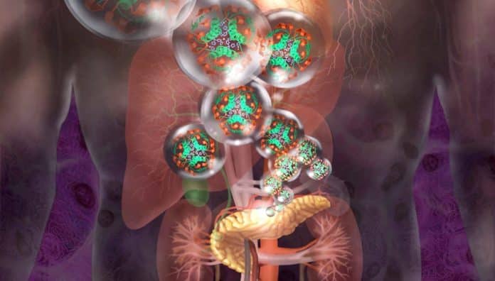 Homem com diabetes começou a produzir insulina após receber, pela primeira vez no mundo, células pancreáticas editadas geneticamente Fim do Diabetes? Homem recebe células editadas geneticamente e volta a produzir insulina sozinho pela 1ª vez