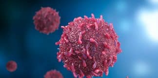 O que a 5ª sinfonia de Beethoven fez com células cancerígenas em laboratório deixou cientistas em alerta