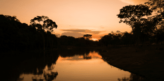 Agricultura Familiar e Inovação: O Futuro Verde do Acre Agricultura Familiar e Inovação: O Futuro Verde do Acre