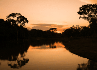 Agricultura Familiar e Inovação: O Futuro Verde do Acre