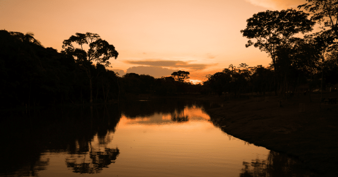 Agricultura Familiar e Inovação O Futuro Verde do Acre Agricultura Familiar e Inovação: O Futuro Verde do Acre