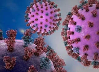 Gripe K chegou ao Brasil: os sinais que confundem com resfriado e fazem muita gente errar