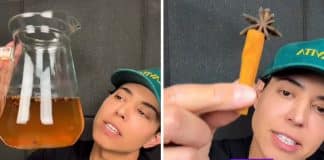 Médico brasileiro revela mistura simples que promete aliviar inflamação intestinal — e custa quase nada