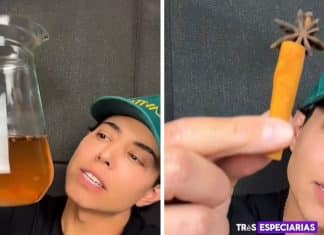 Médico brasileiro revela mistura simples que promete aliviar inflamação intestinal — e custa quase nada