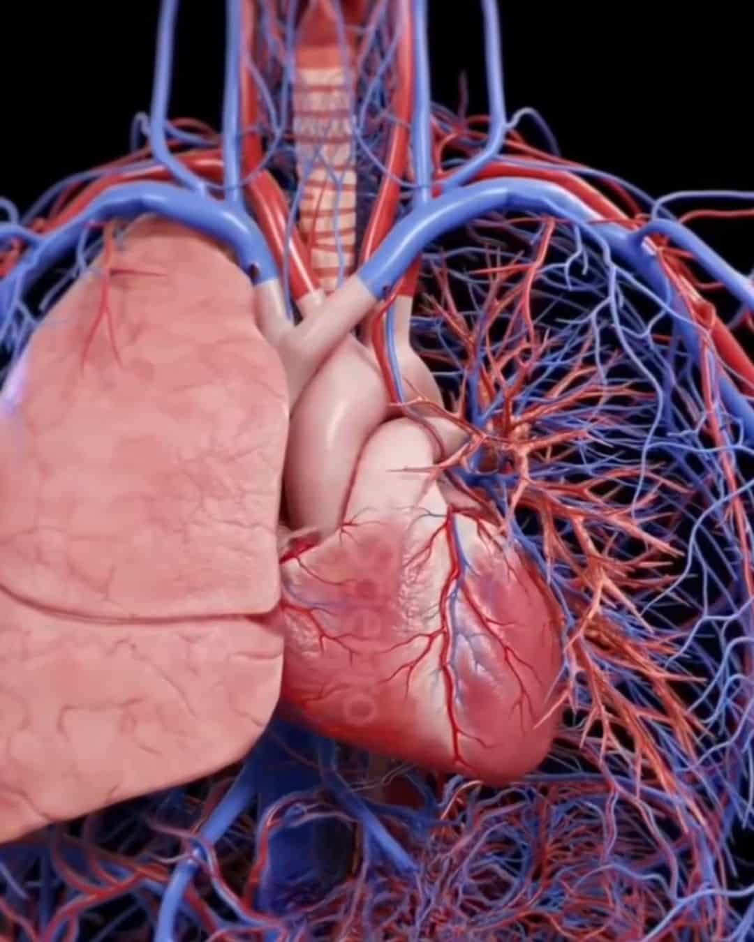 contioutra.com - M&eacute;dico aponta objeto que custa menos de R$ 2, previne infarto e AVC (e quase ningu&eacute;m infelizmente leva a s&eacute;rio)