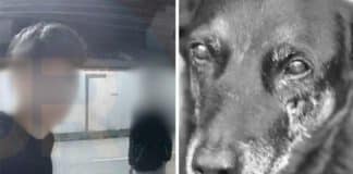 Endereço vazado e vingança: casa de adolescente ligada ao caso do cão Orelha é atacada com fezes